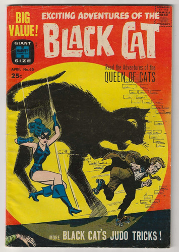 Gatto nero lee - nero,