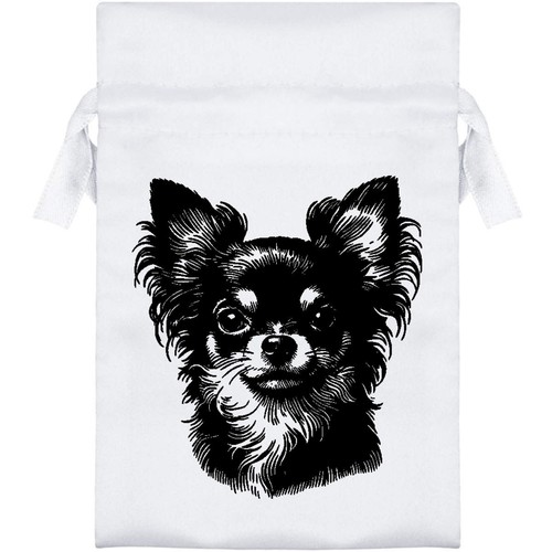 Chihuahua dai capelli - ', lunghi'