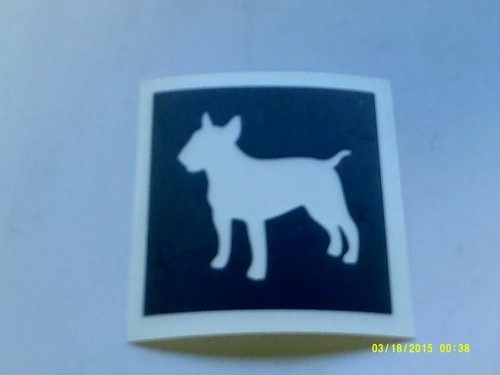Staffordshire bull terrier - , /