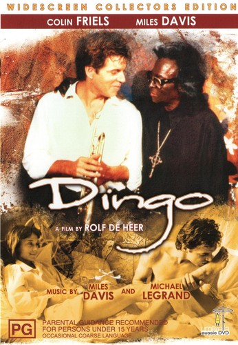 Dingo