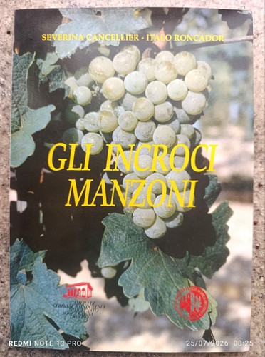Gli incroci manzoni enologia - gli,