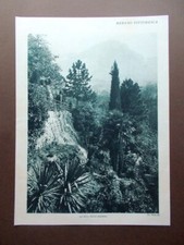 Merano Gola Passera Castello