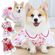 Vestito Fragola per Cani Plaid