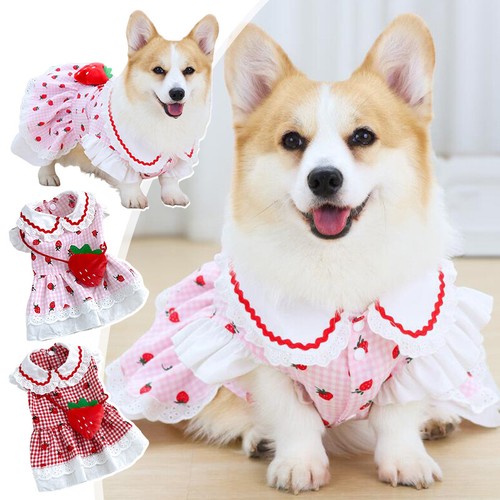 Vestito fragola per cani - per,