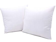 2 Pezzi Imbottitura Cuscini 45x45 cm Cuscini Divano Per Arredo Anima Anallergica