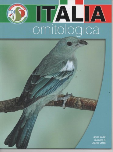 2018 italia ornitologica - -,