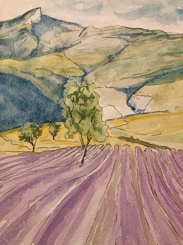 Bella pittura acquerello - bella,
