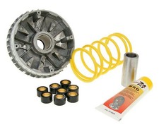 Variatore MALOSSI Multivar