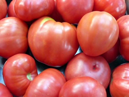 Pomodoro rosa cuore bue - cuore,