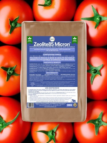 20kg zeolite micronizzata - zeolite,