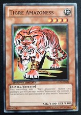 TIGRE AMAZONESS  in Italiano