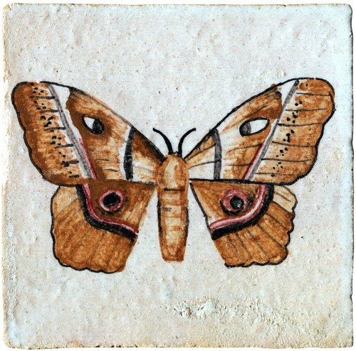Piastrella maiolica con - piastrella,