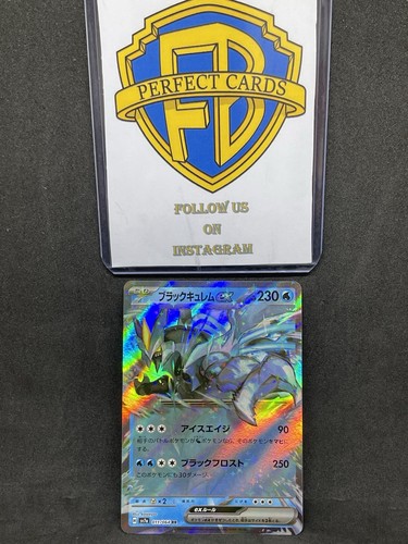 Pokémon paradise dragona - paradise,