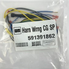 Weil-McLain 591-391-862