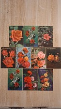Lotto 10 Cartoline Fiori Buon