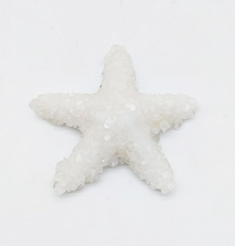 Stella marina vera - stella,