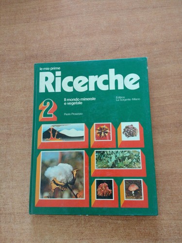 Mie prime ricerche il - ricerche,