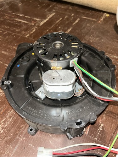 Fasco 70626420 motore - 70626420,