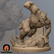 Rhino proxy funziona con