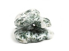 Funghetti in Agata Muschiata