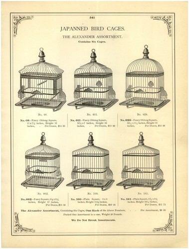 1902 carta pubblicitaria pg - carta,