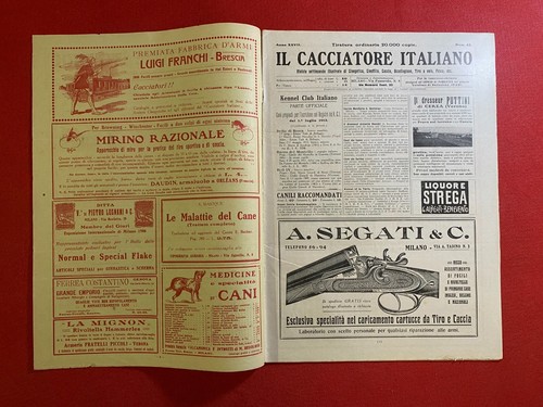 Cacciatore italiano - cacciatore,