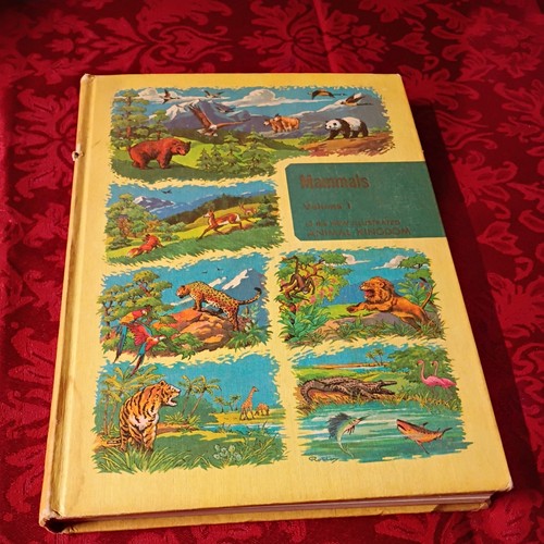 Illustrated encyclopedia - encyclopedia, of