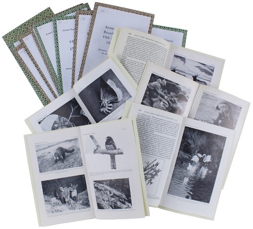 Natura zologia biologia - natura,, zologia,