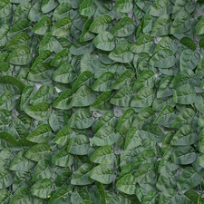 Divy laurus pro 150x300 - divy, cm