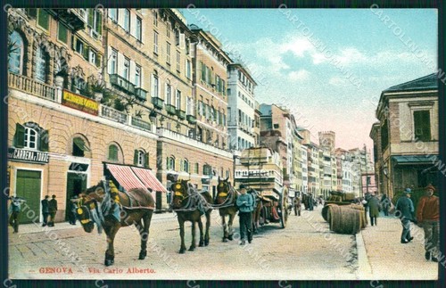 Genova città via carlo - città,