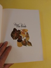 CURA IL TUO VERDE LONGMAN 1984