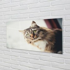 Tulup Glass Print 120x60 Wall