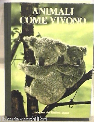 Animali come vivono - animali, cura