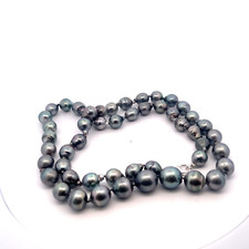 Nuovo 11-14mm Coltivata Tahitiana Perla Opera Collana 30in. Sterling Chiusura