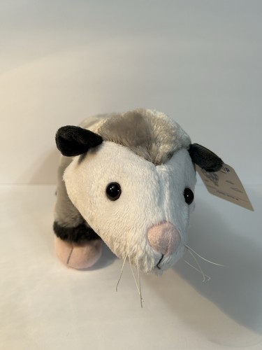 Peluche costruisci orso - peluche, un