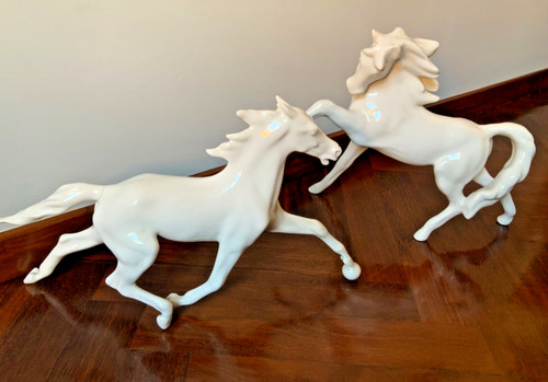 Coppia grandi cavalli - coppia,