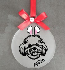 Cane maltese regalo di Pasqua