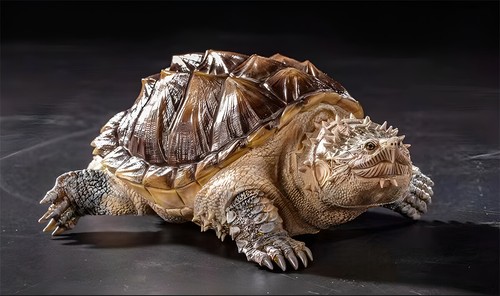 Bowuzhi chelydra serpentina - bowuzhi,