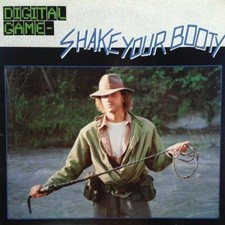 DIGITAL GAME - SHAKE YOUR BOOTY - 1985 DISCO VINILE 33 GIRI