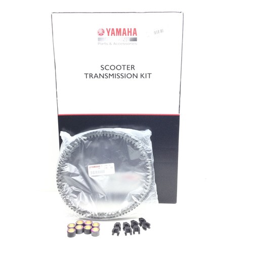 Kit tagliando variatore - kit,