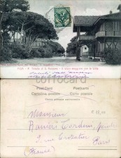 PISA PROVINCIA-REGIA TENUTA DI SAN ROSSORE-VIALE MAGGIORE-C87-8