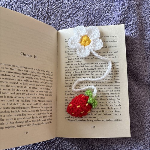 Crocheted strawberry and - crocheted,