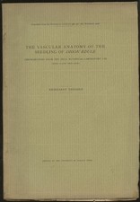 Reinhardt Thiessen / Vascular