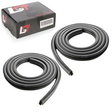 2x Portiera Auto Guarnizione