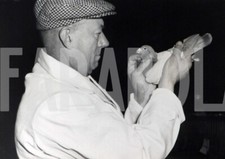 Foto vintage UK, Mostra di piccioni viaggiatori, 1958, stampa 18x12 cm