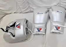 Premium Boxe Sparring Kit: Set