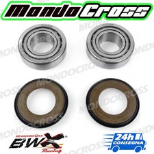 cuscinetti sterzo kit