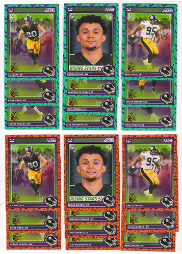 Pittsburgh steelers 2024 - pittsburgh,