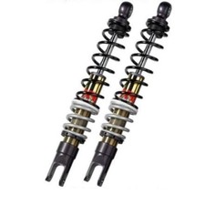 Coppia ammortizzatori