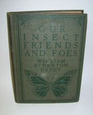 Our Insect Friends and Foes by